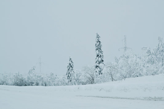 DEWALT DXAEPS14-Type2 vs DEWALT DXAEJ14-Type3: Which Jump Starter Power Station Suits a Canadian Winter Roadside Call